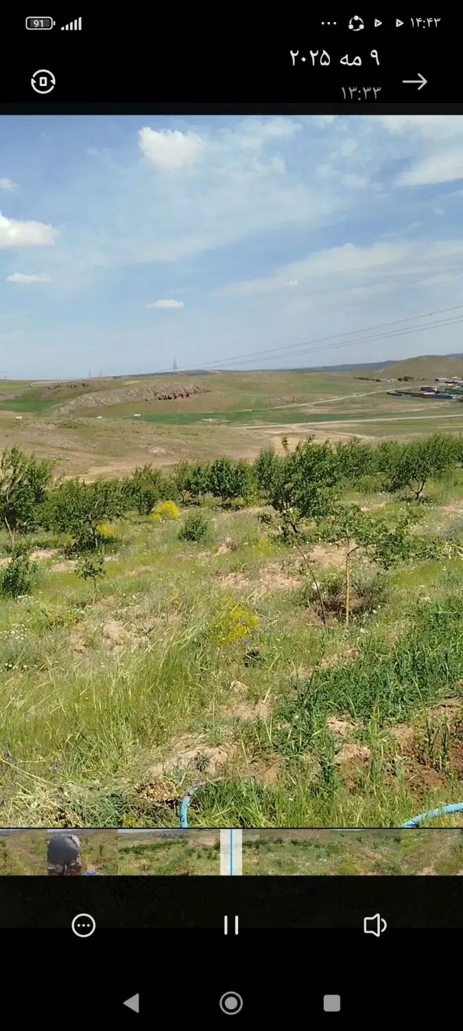 باغ درخت ۷ ساله