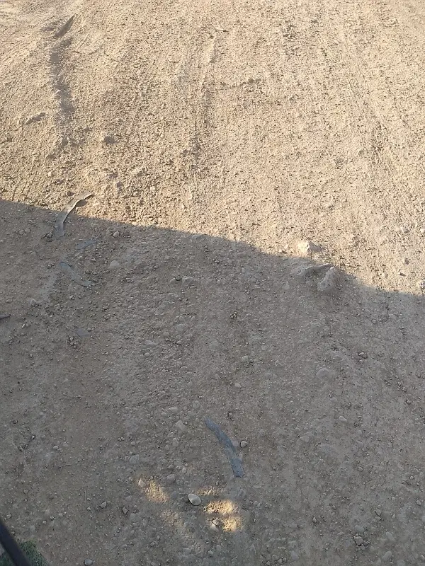 زمین 216متری روستای کلستان