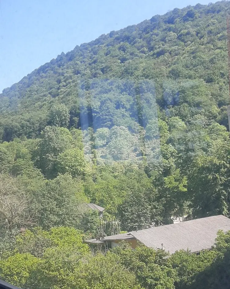 آپارتمان سند تک برگ