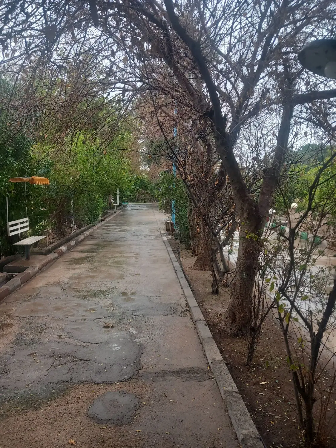 باغستان