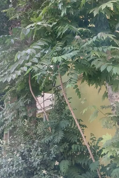 فروش زمین