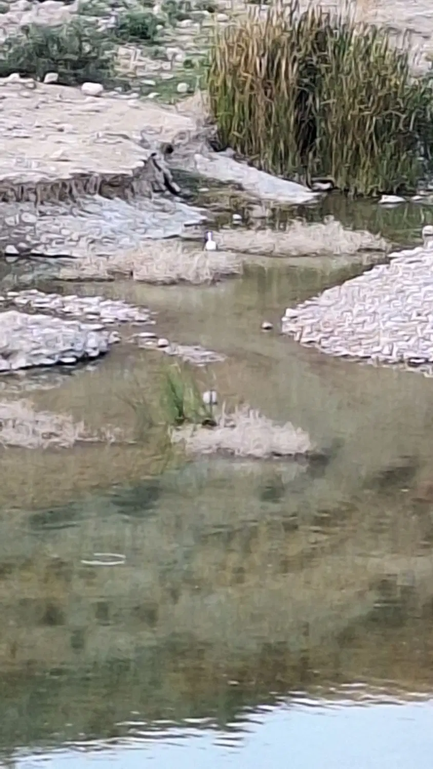 زمین بارانی