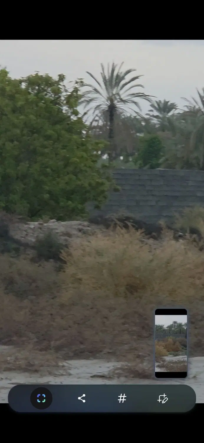 زمین ویلا باغی