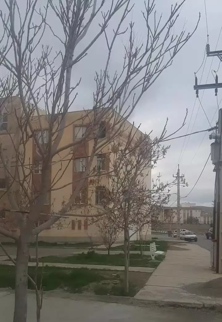 فروش مغازه نانوائی لواشی آرد یارانه ای در کنگاور