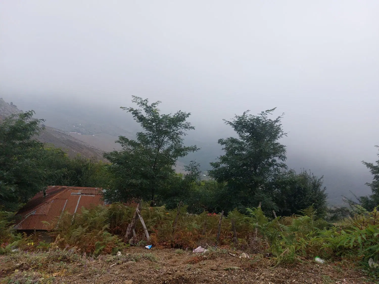 زمین کلنگی