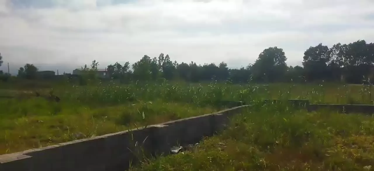زمین ۴۳۰ متری شیرمحله رودسر(کلاچای)