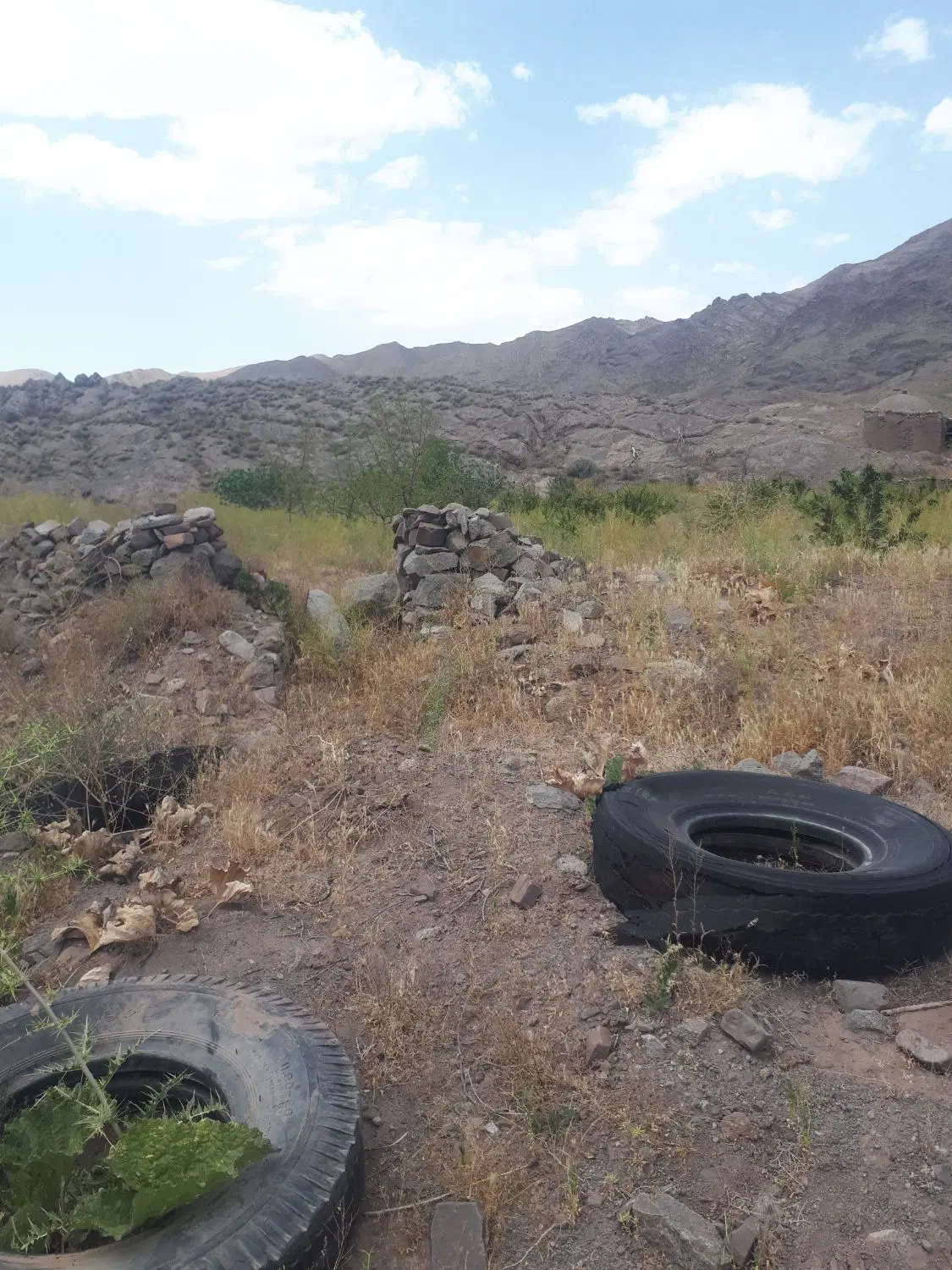 باغ مشجر در روستای  پیرنج حاشیه جاده مشهد