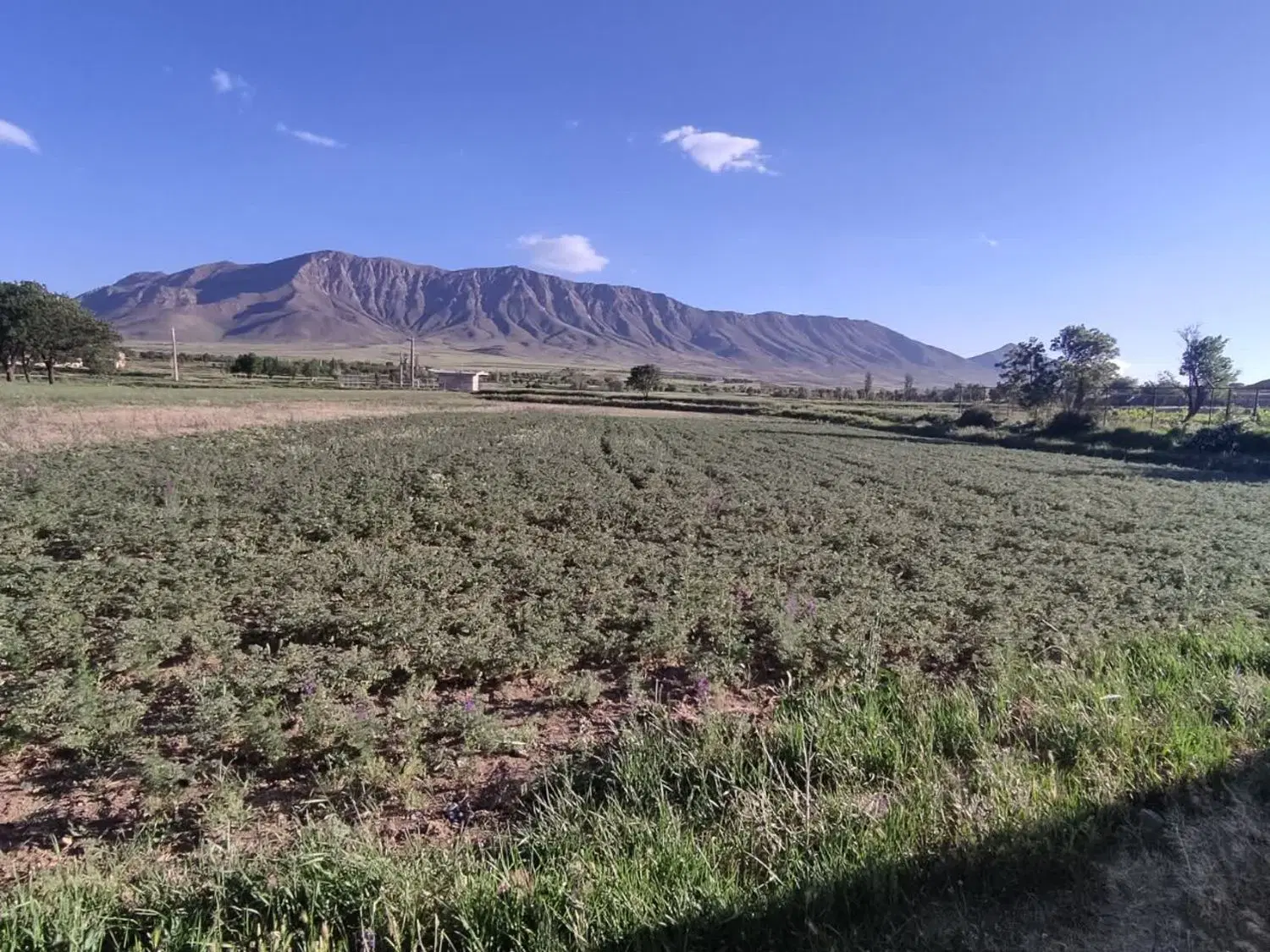 فروش باغ ویلایی در روستای آشناخور