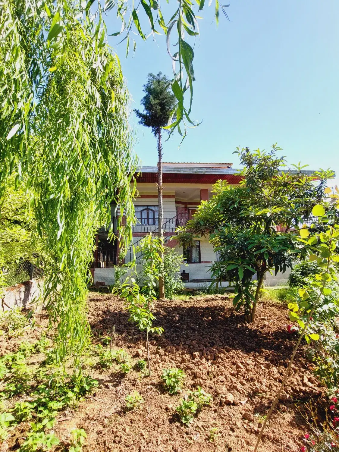 اجاره ویلا جنگلی