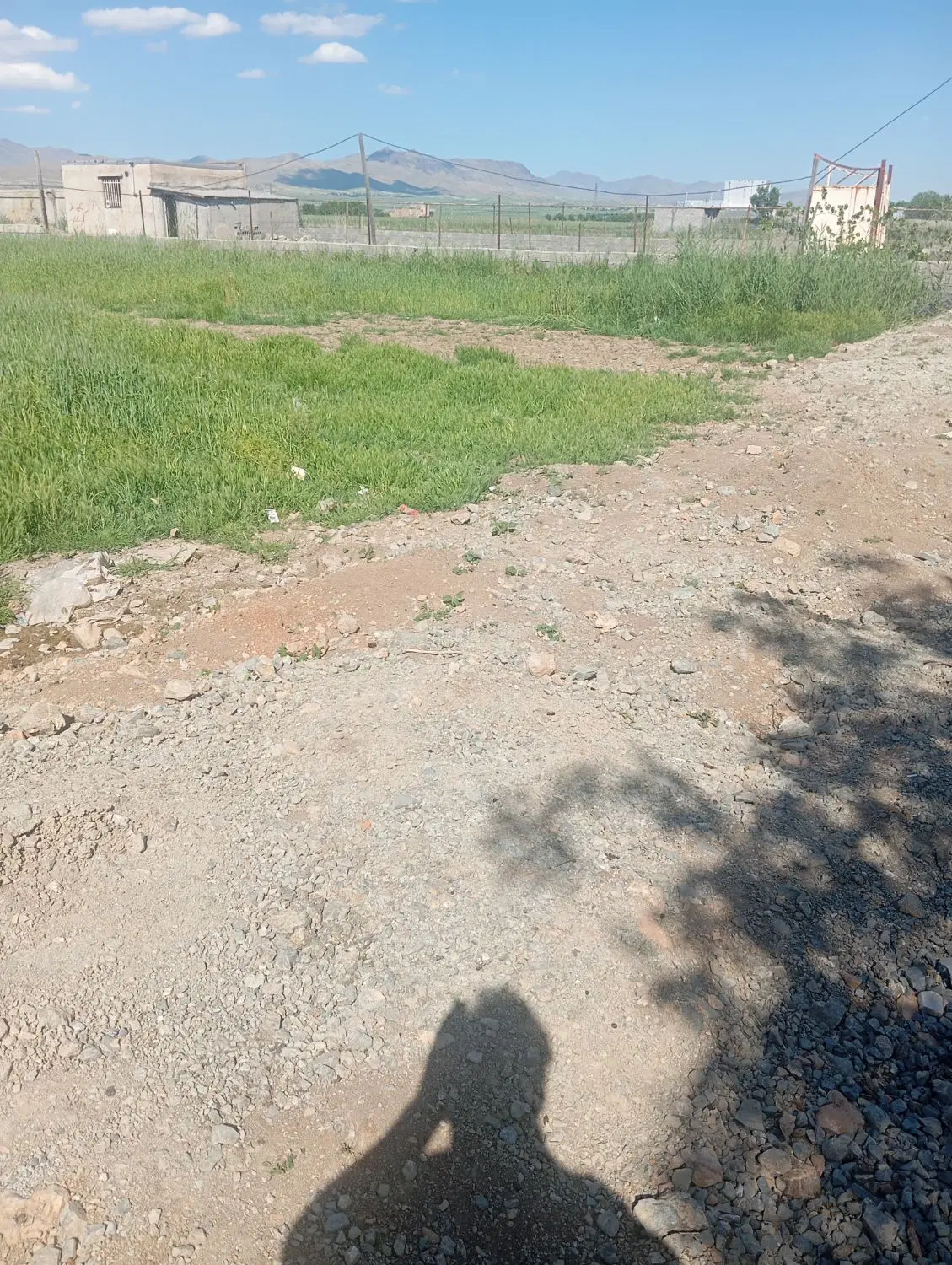 متری بیست میلیون تومان