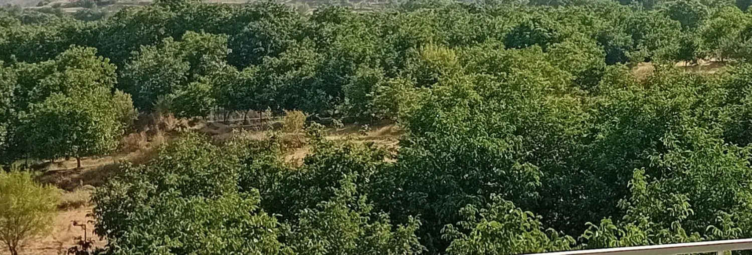 باغ ۵۰۰ و ۶۰۰ متری .برق دار .سنگستان