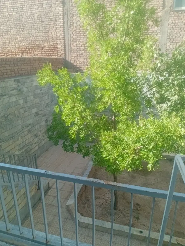 منزل اجاره ای واقع در فلکه اول سجادشهر