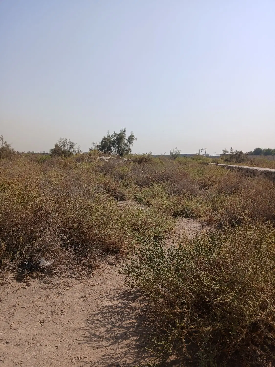 فروش زمین در قلعه چنعان