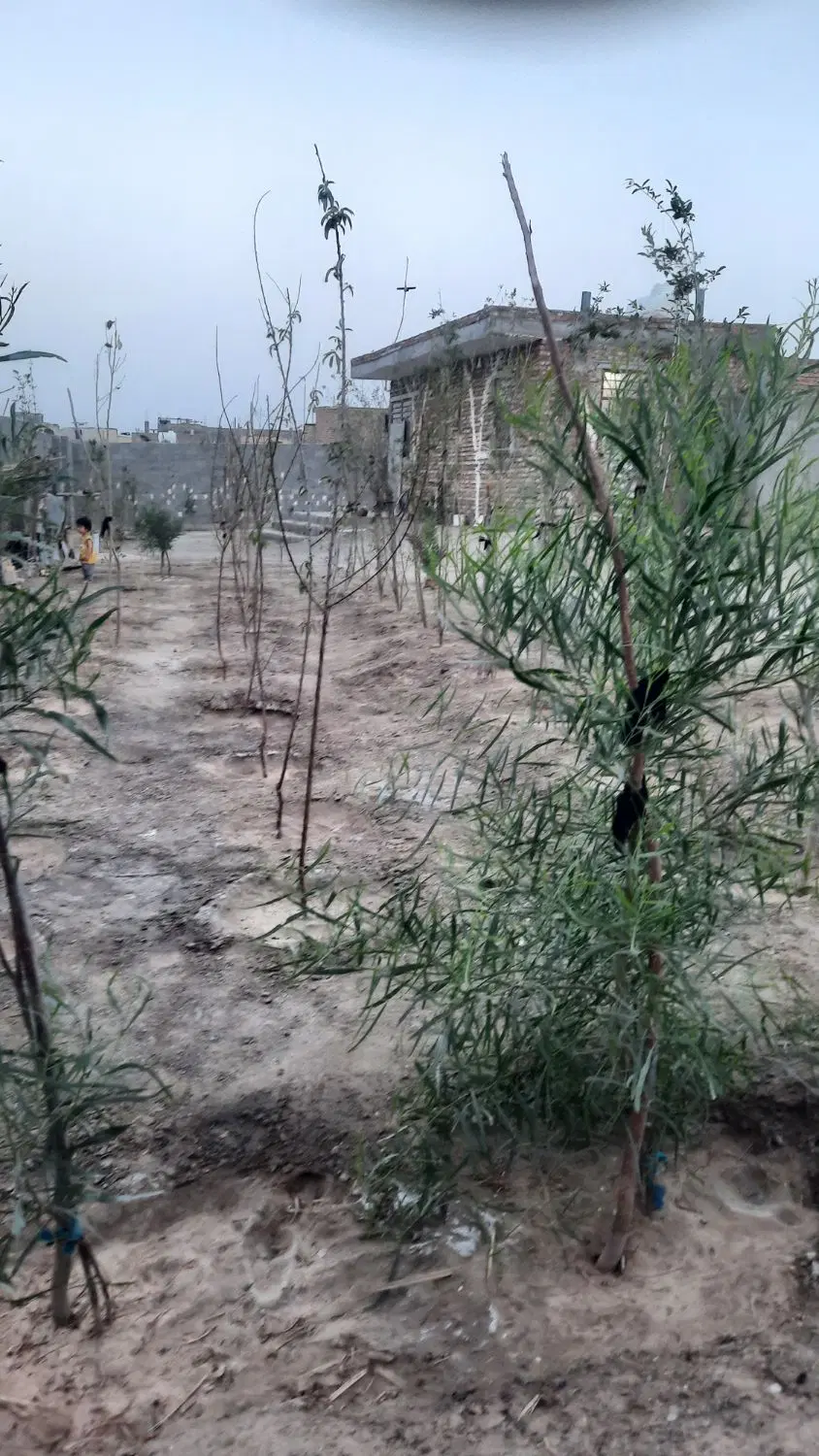 ۱۰۰۰مترویلا باغ دایی اباد