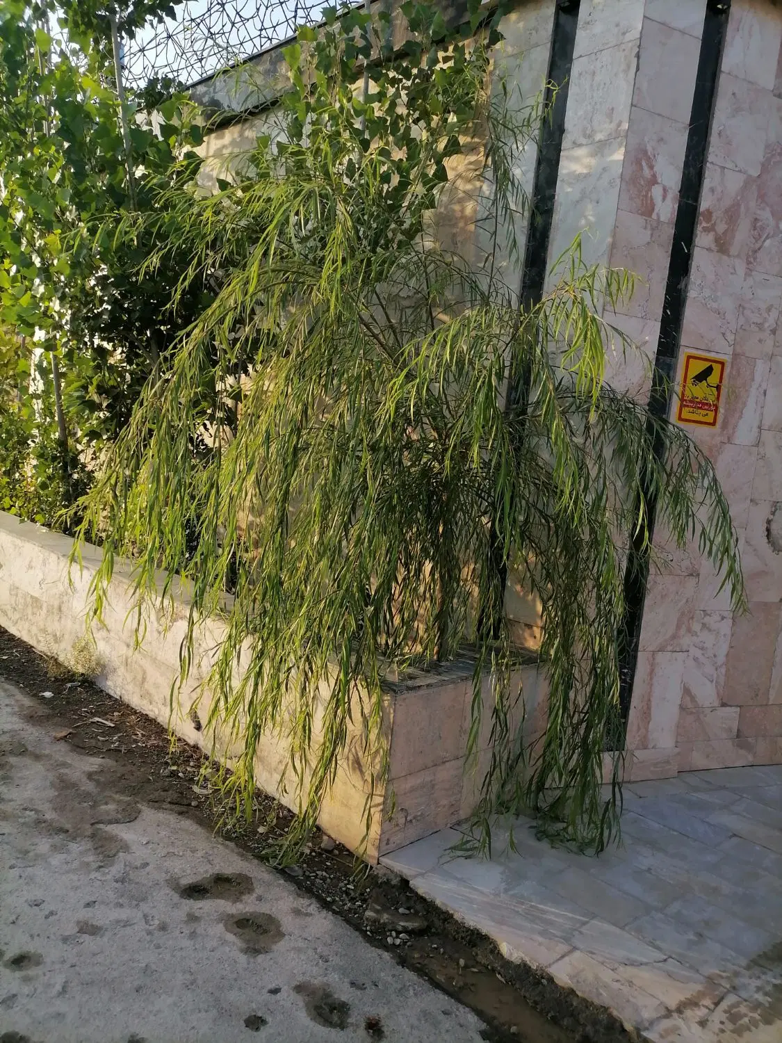 مشارکت در ساخت قاسم آباد