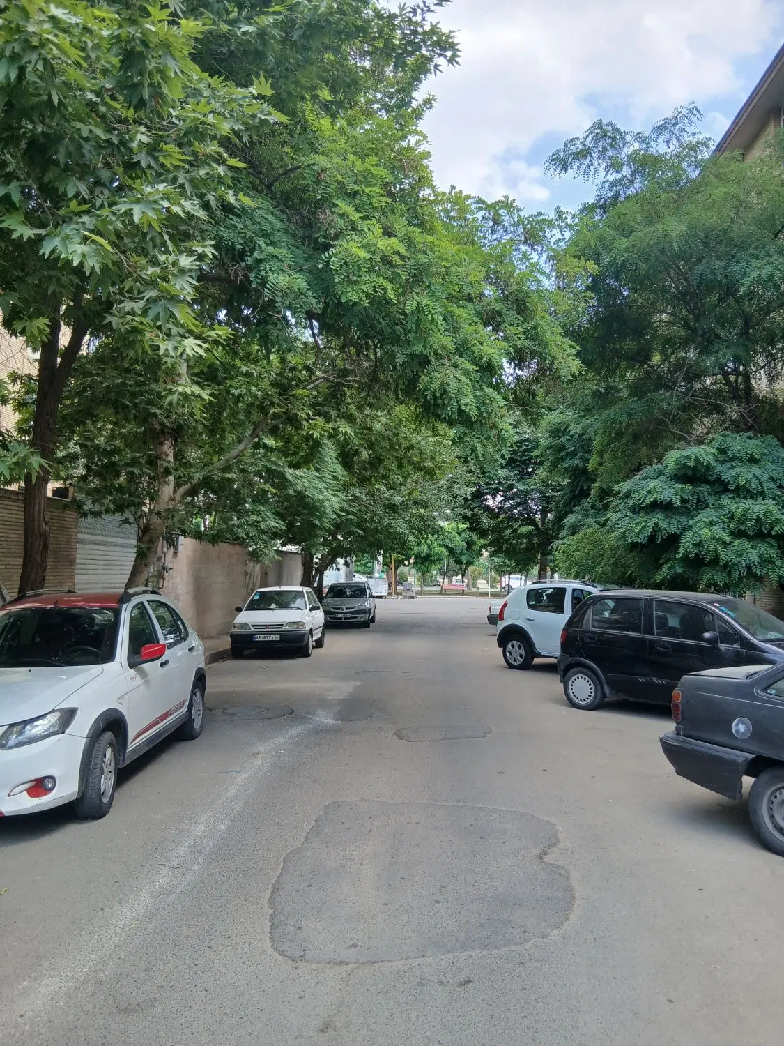 مشارکت در ساخت ۵۴۰ متر زمین جنوبی