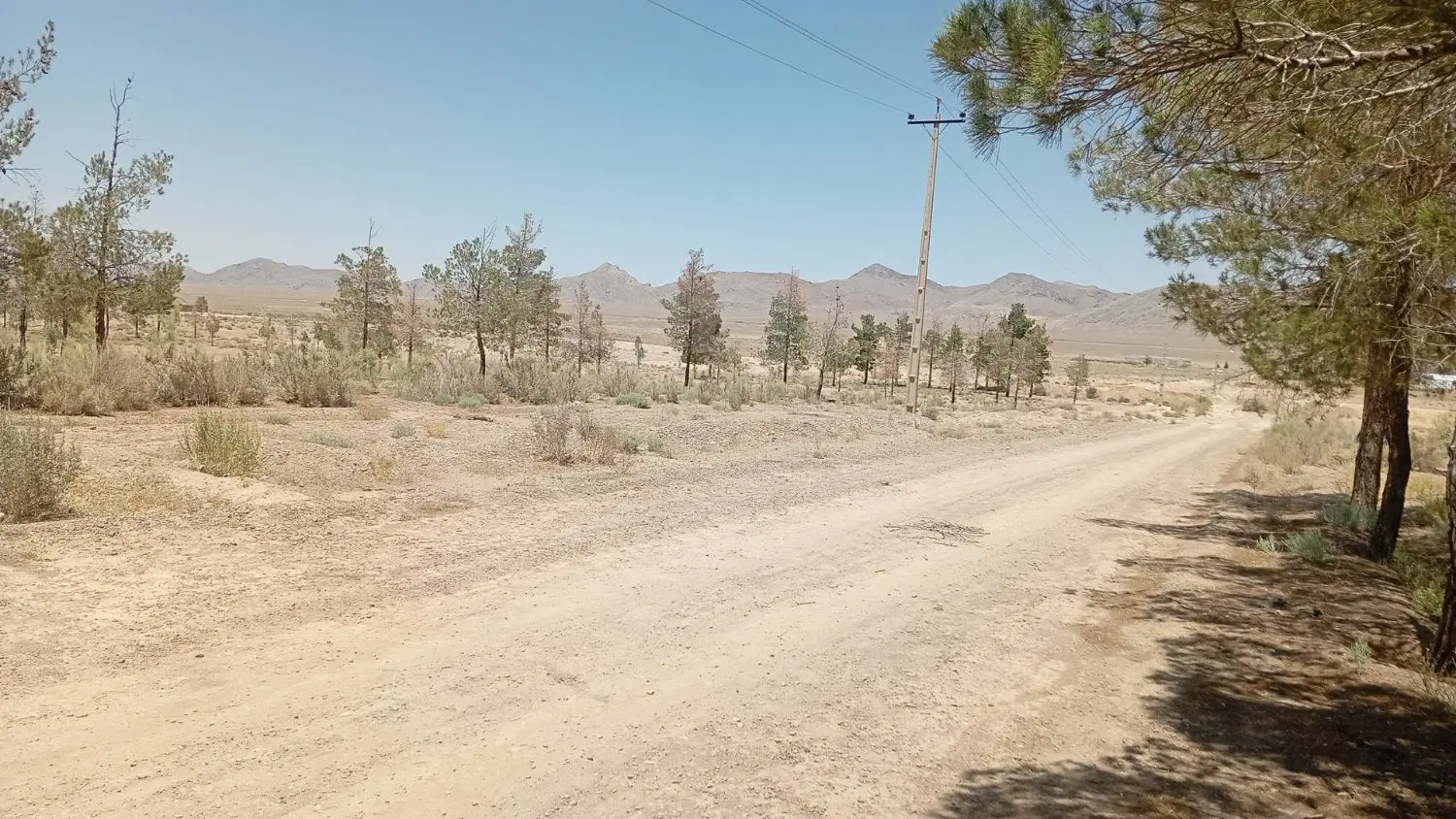 زمین