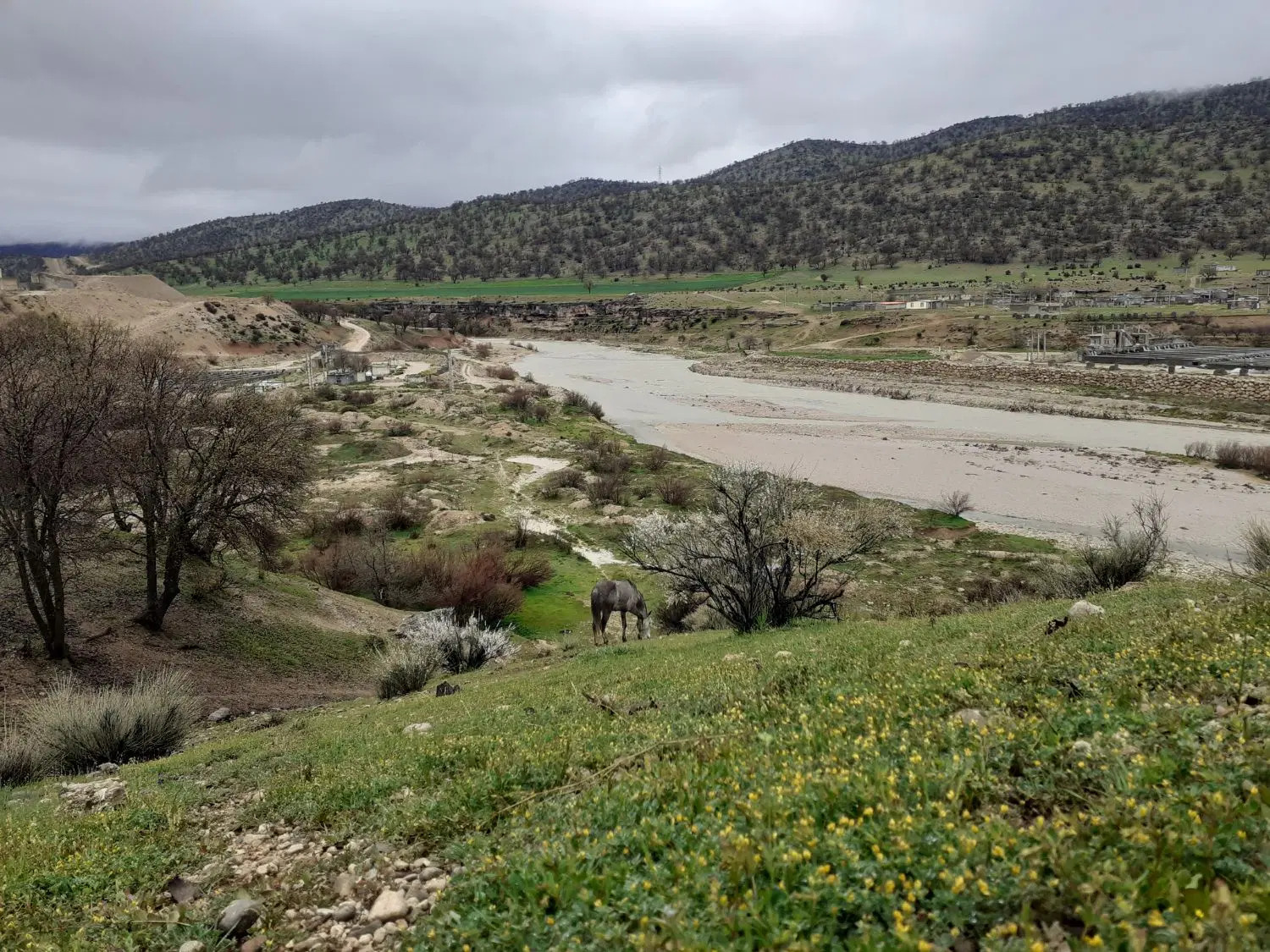 فروش زمین