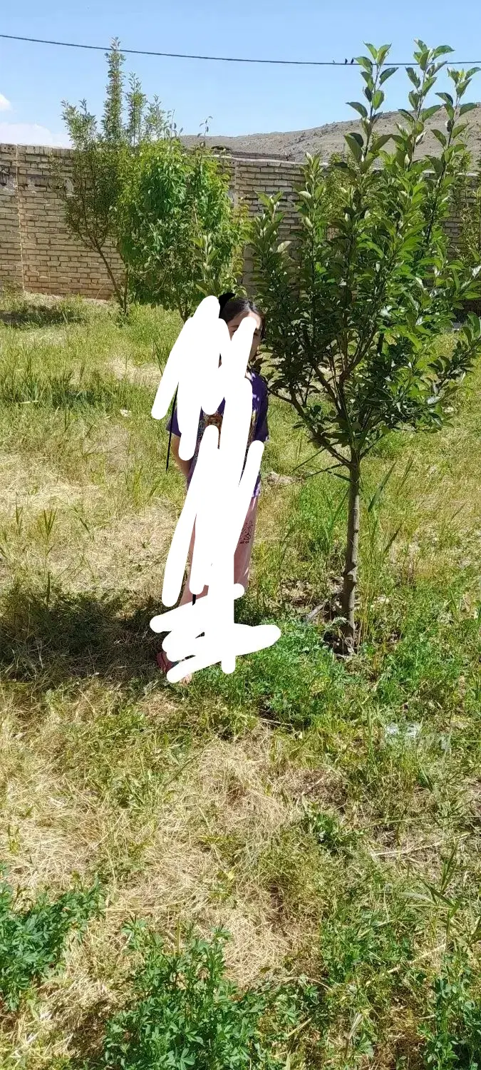 خانه ویلای در زنجان