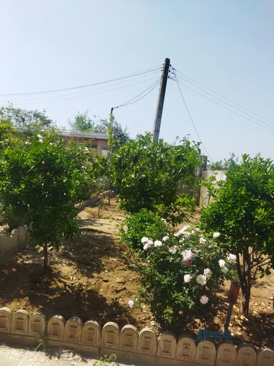 خانه ویلایی اجاره