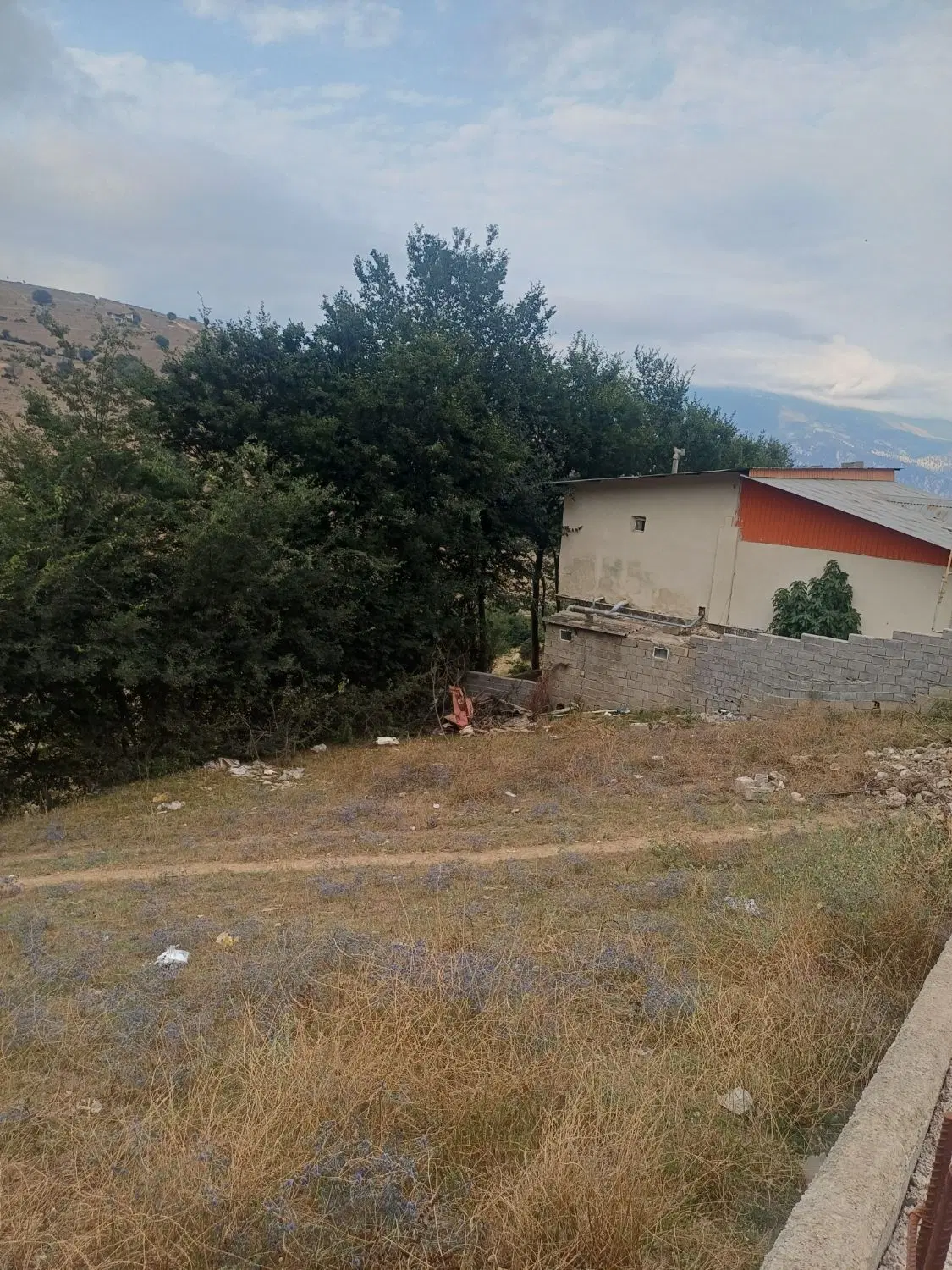 زمین ۳۰۰متری مسکونی