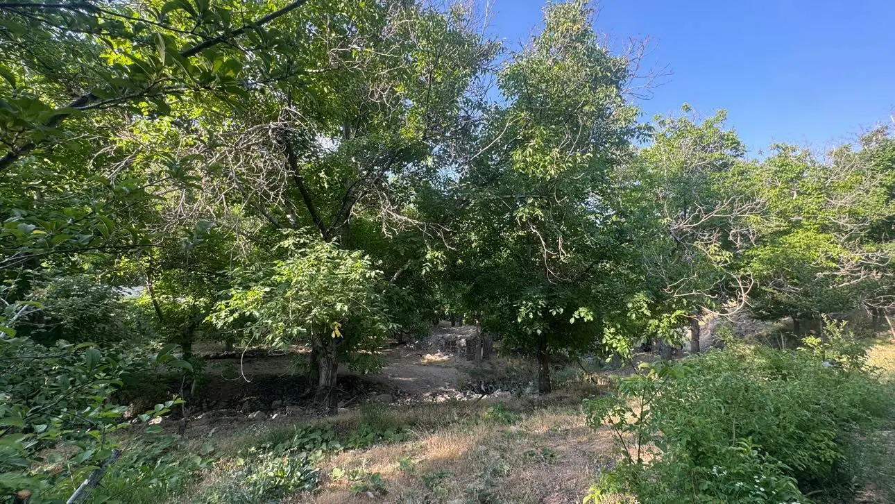زمین جهت ساخت ویلا