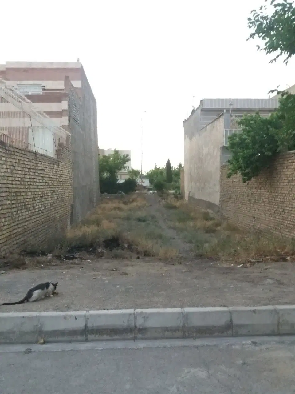 ۲۰۹متر زمین ملکی حاشیه بولوار عدالت
