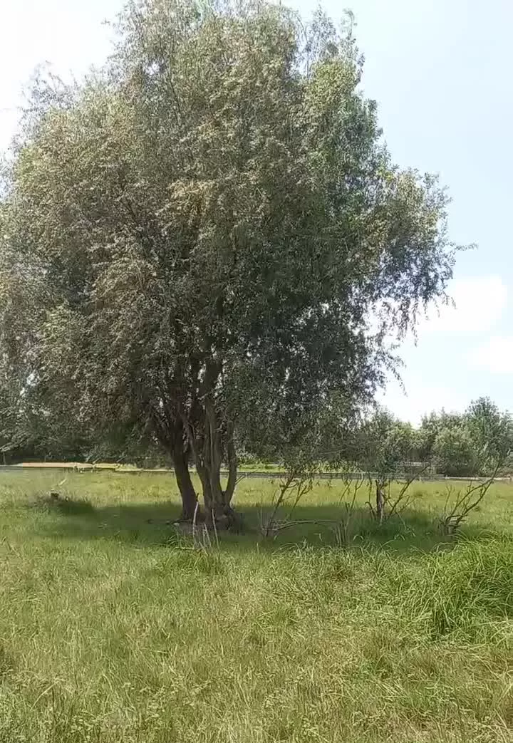مشارکت در ساخت ویلای ارزان در میانرود