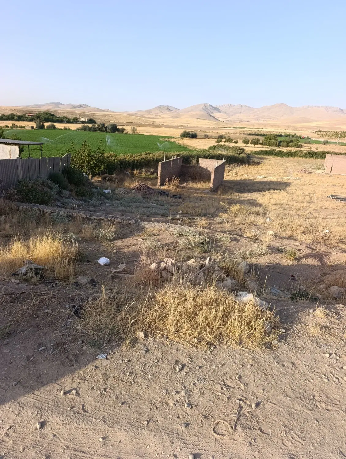 زمین گل بهی