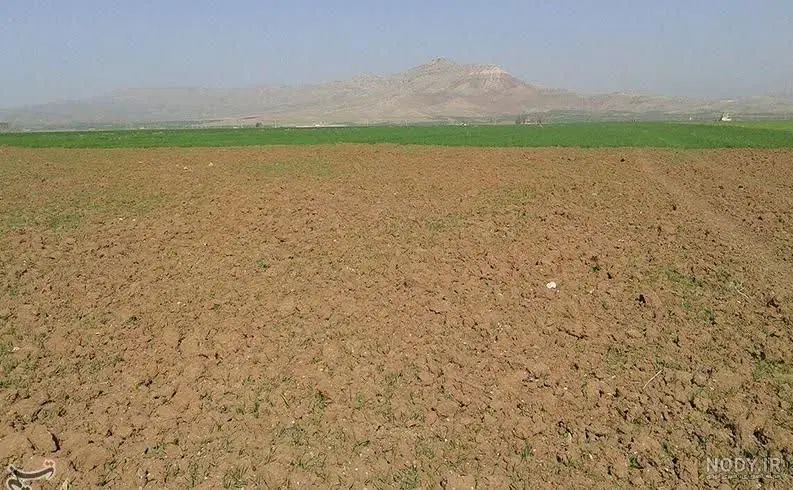 سه قطعه زمین کشاورزی در روستای وانشان