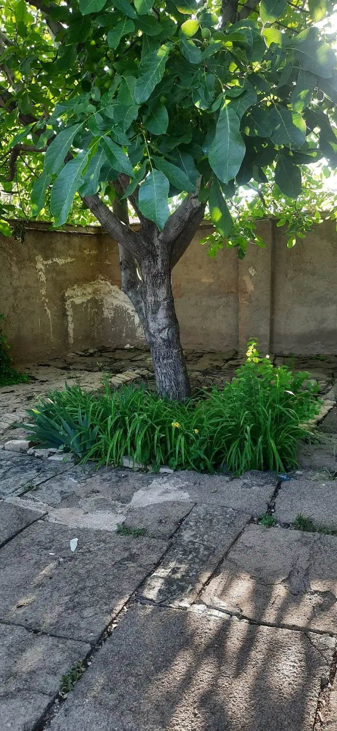 فروش ملک با متراژ ۲۵۸ متر و بنا با متراژ ۱۲۰