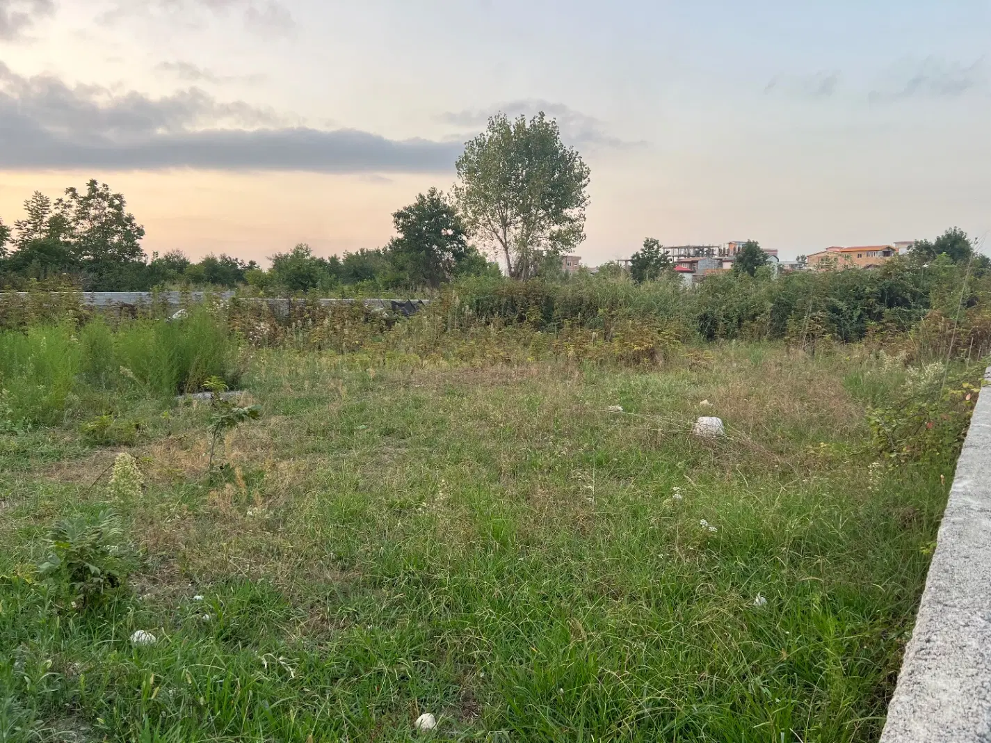 فروش زمین