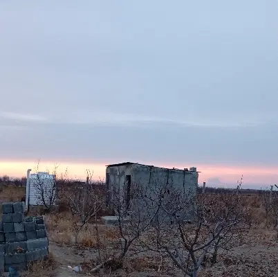 زمین باغی 1300متری
