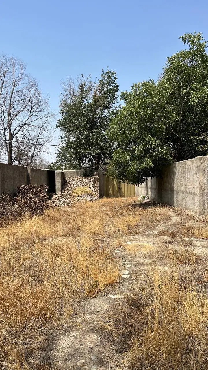 باغچه چهار دیواری