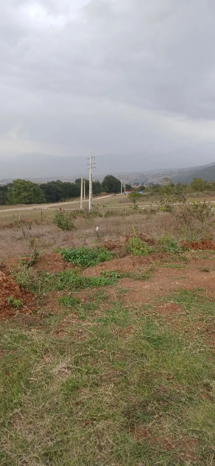 زمین کشاورزی