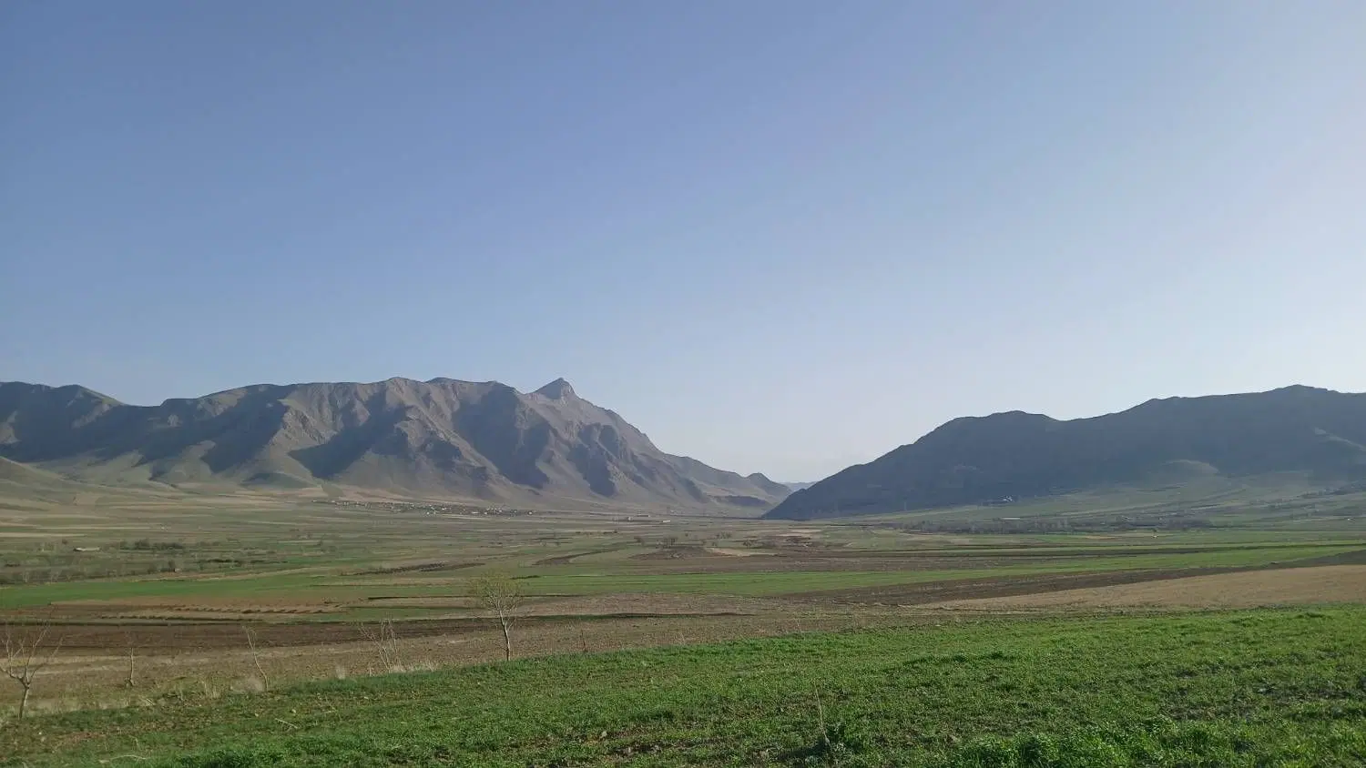 زمین کشاورزی