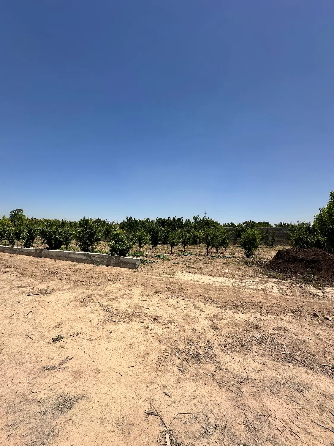 زمین باغی پایانه نسیم شهر