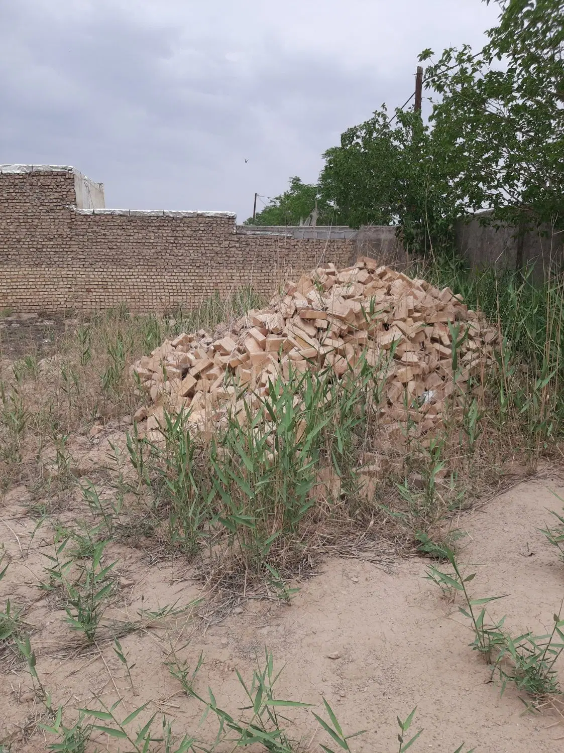 زمین ۱۸۷۵ متری سند تک‌ برگ