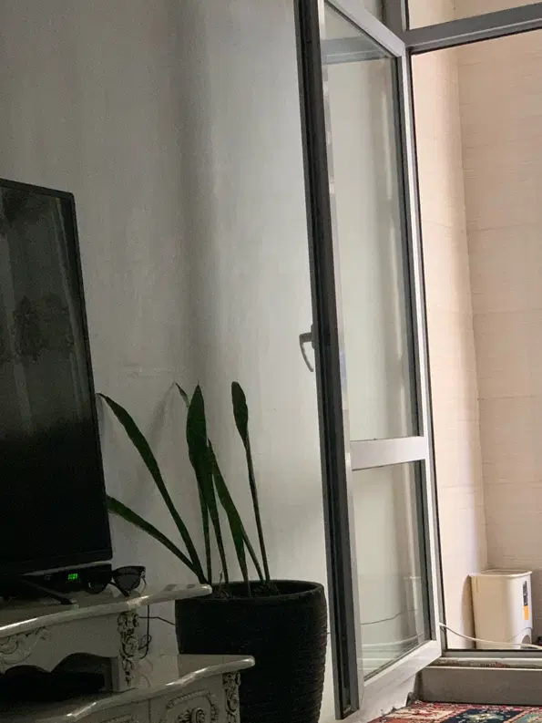 همخونه خانم میشم
