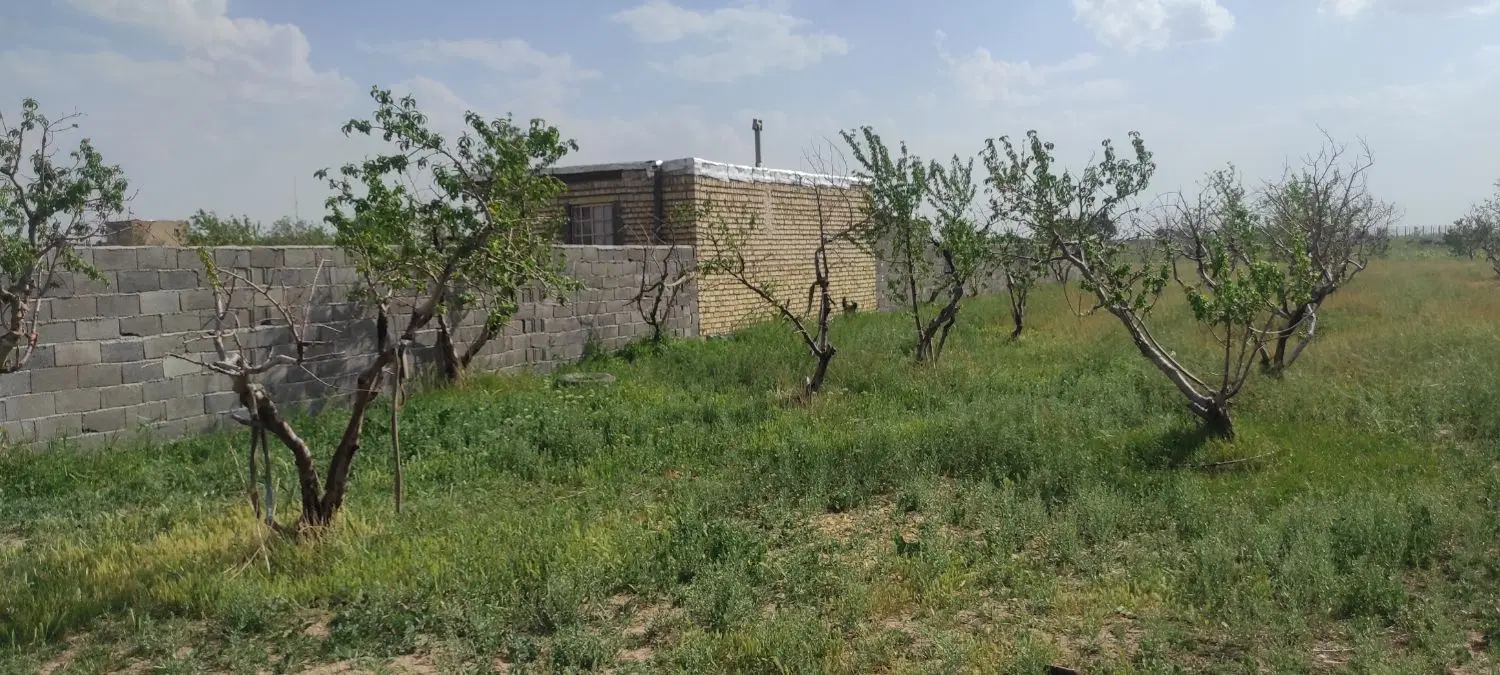فروش زمین(باغ-زراعی) سند دار