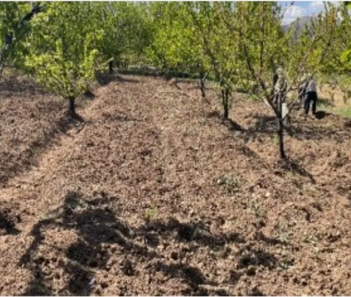 زمین کشاورزی شهریار حصارساتی فرارت
