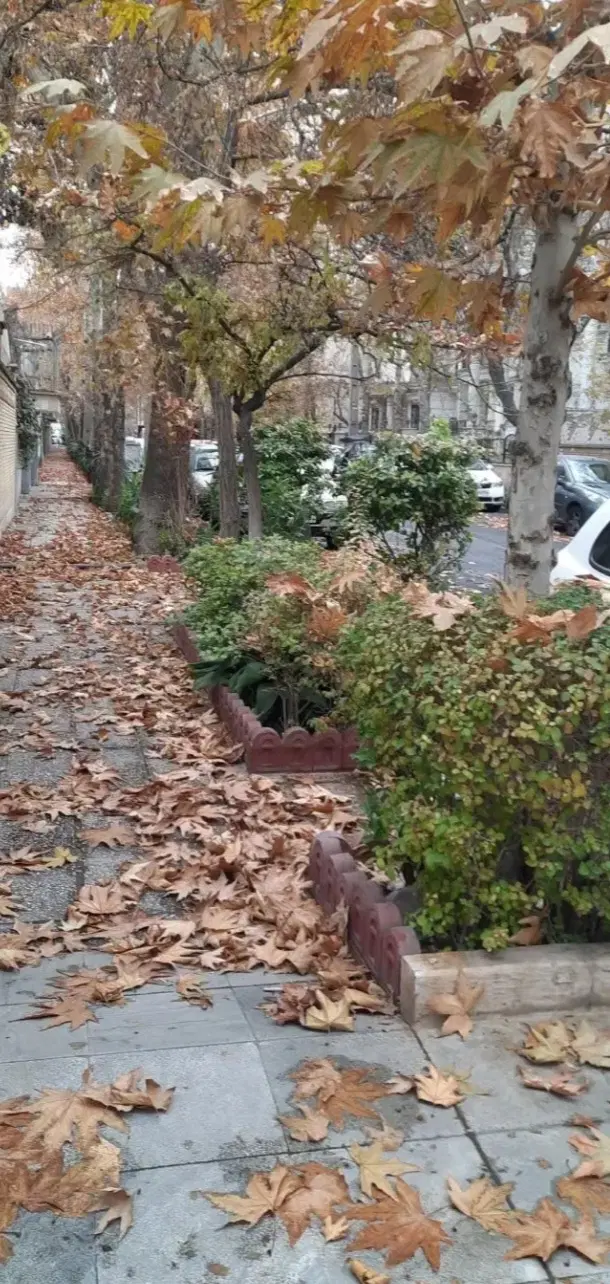 خیابان استخر_117متر_سند تک برگ_دونبش_