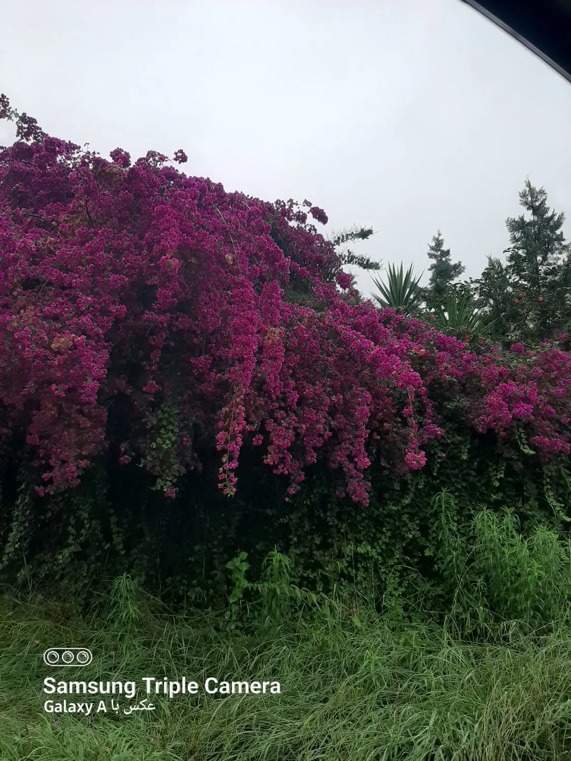 زمین ۱۸۰ متری و ۲۲۰ متری