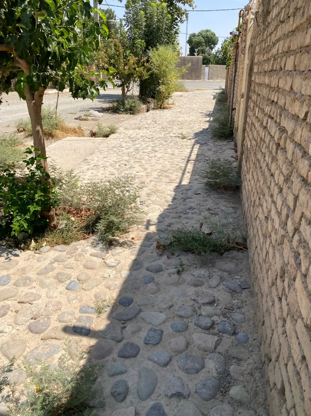 زمین