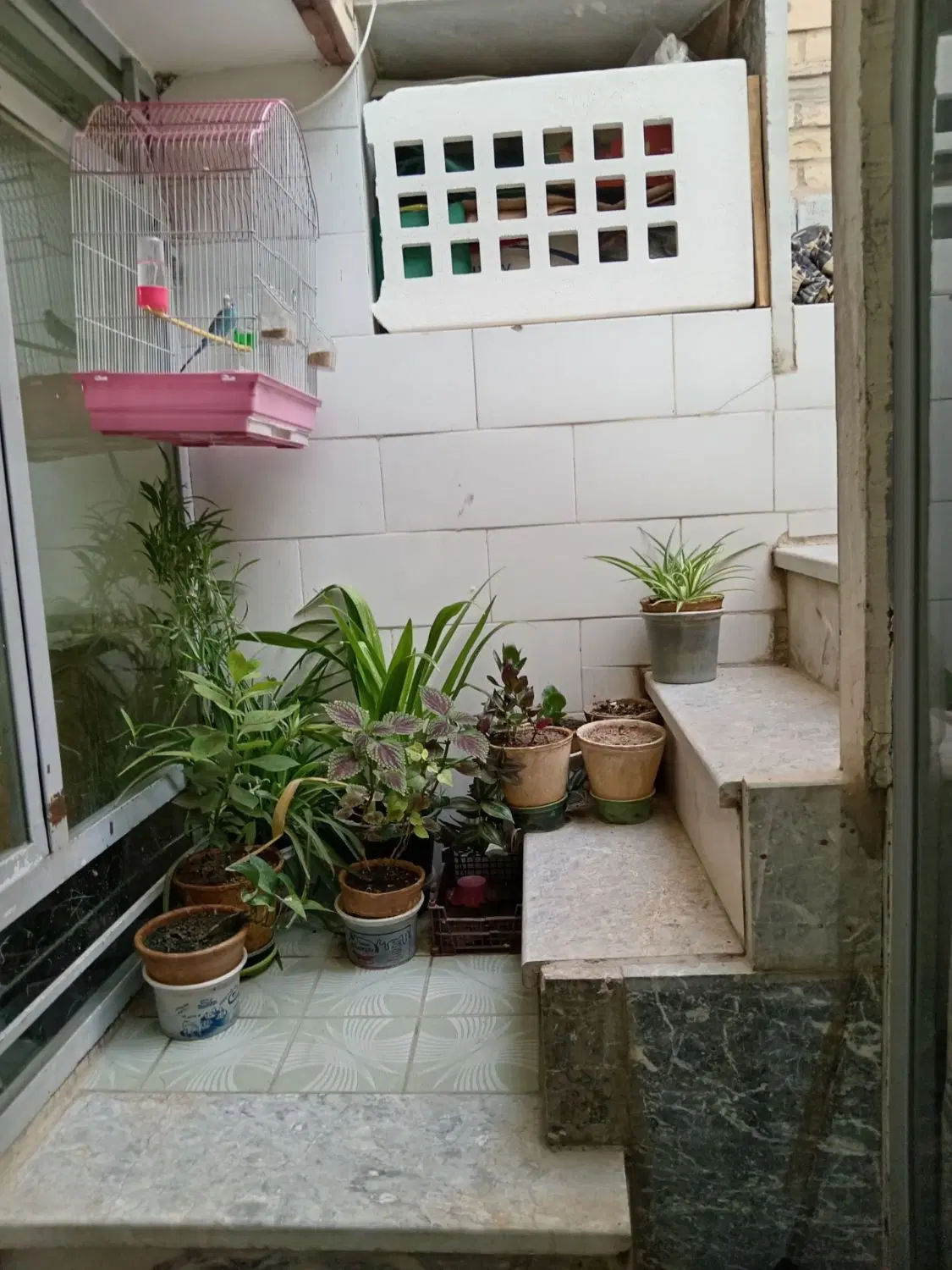 زیرزمین مسکونی۱خواب راه مجزا