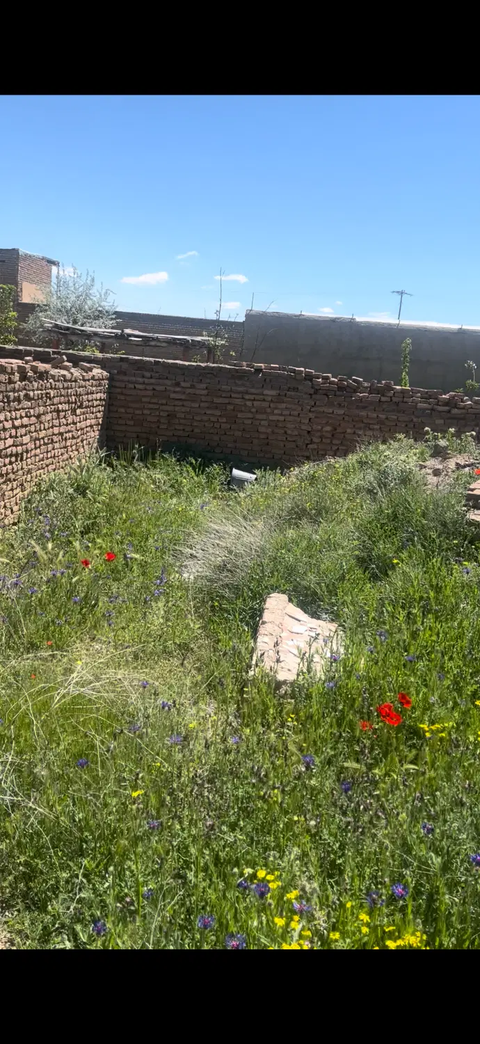 زمین حسن آباد همدان