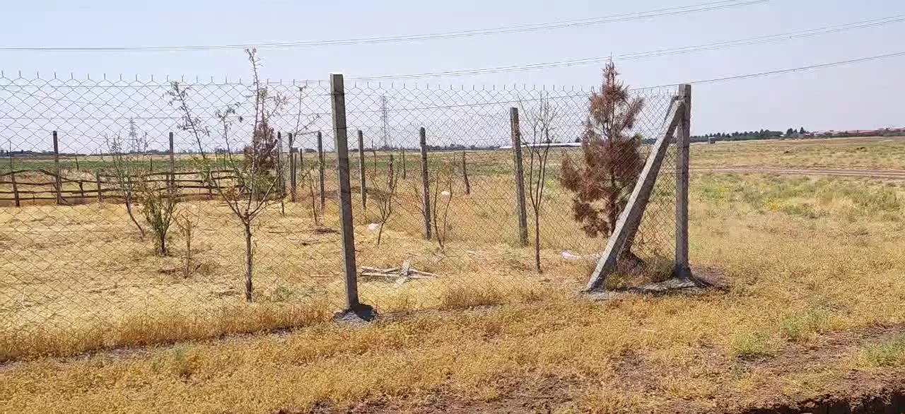 باغ