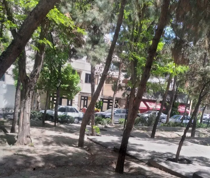 هنرستان ، برکپور