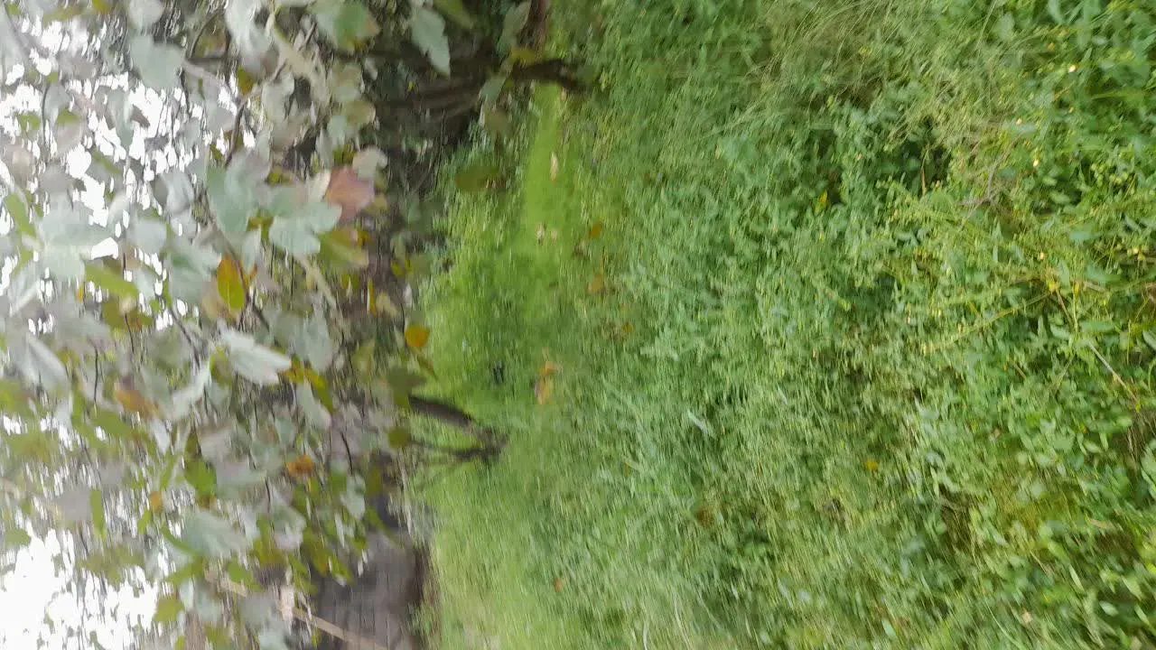 زمین به مساحت ۵۴۰ متر بافت باغی