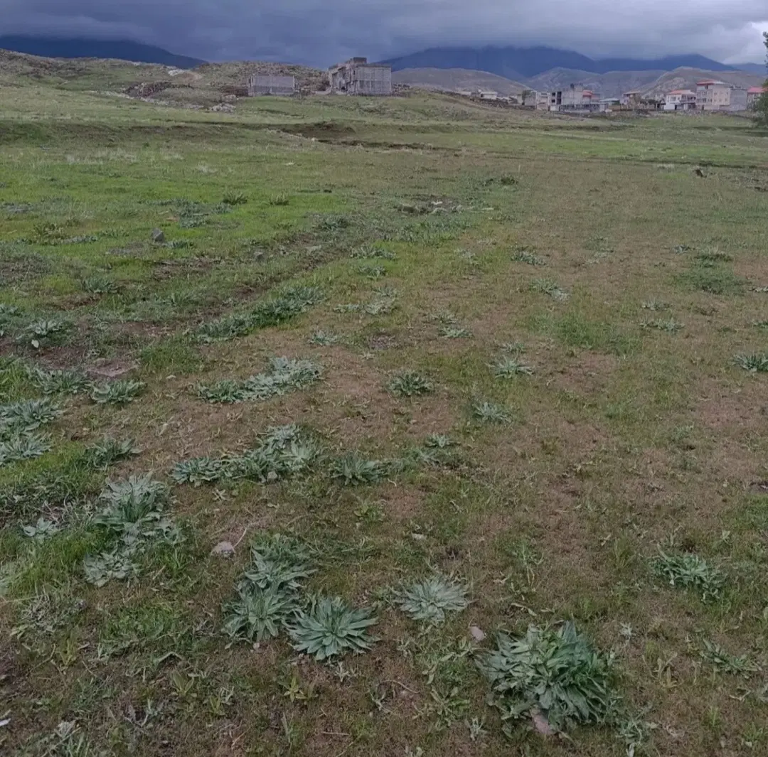 زمین کارگرشمالی